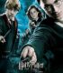 Harry Potter 5 Zümrüdüanka Yoldaşlığı HD İzle
